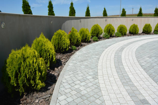 Best Custom Driveway Pavers  in Columbus, MS