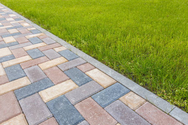 Best Affordable Driveway Paving  in Columbus, MS